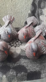 Garden Figure - TK07 - Image 3