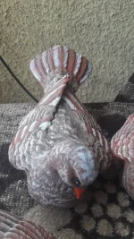 Garden Figure - TK07 - Image 4